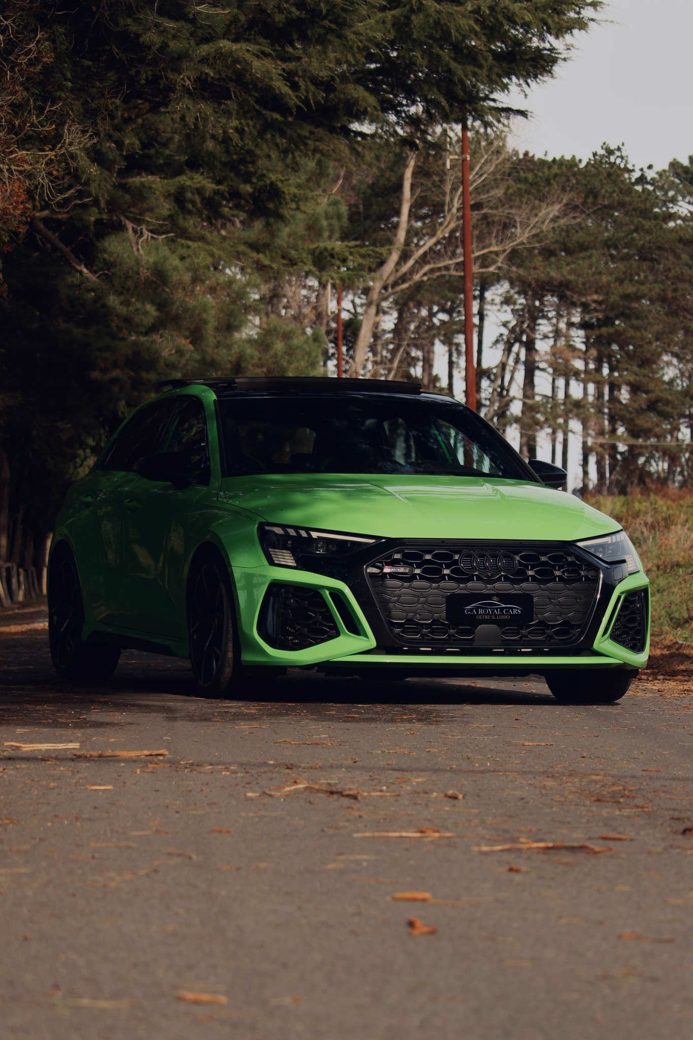 AUDI RS3 (2024)
